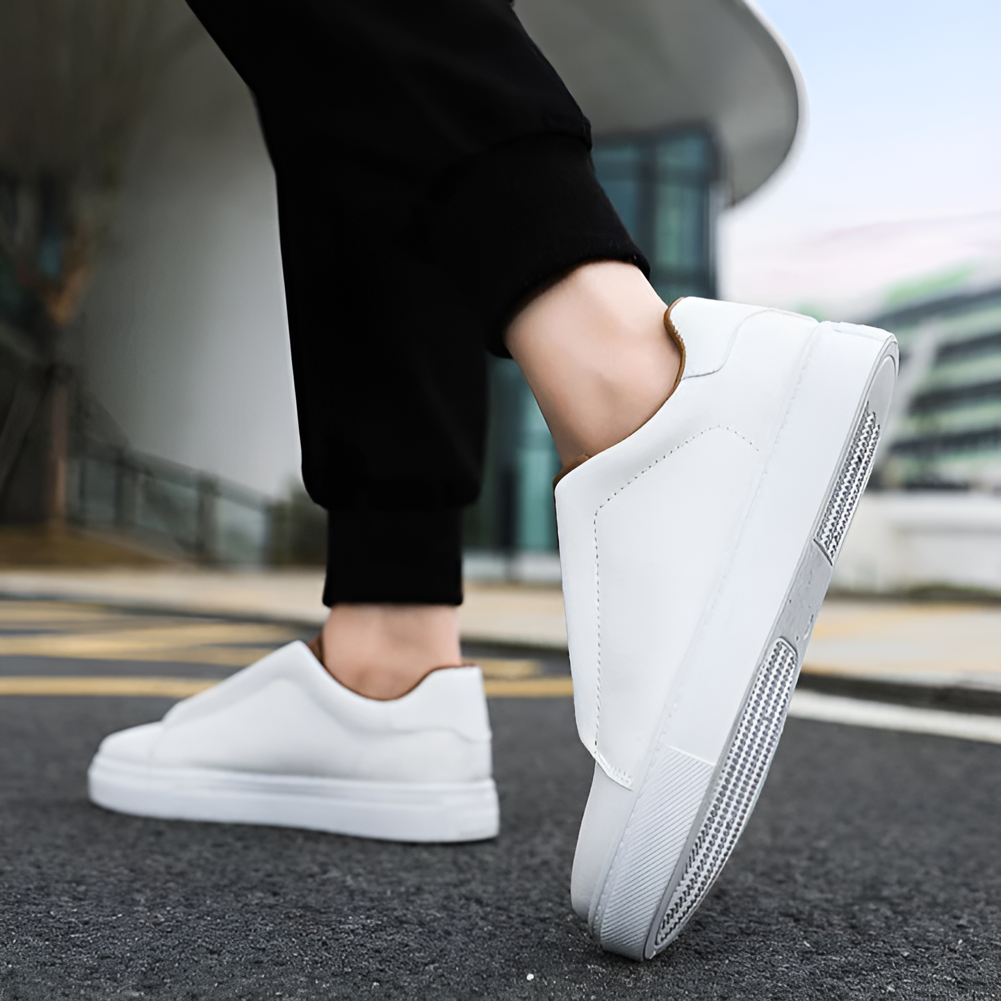 Bernardo Chic Sneakers